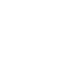 Agility Innovation Group logo